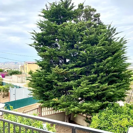 House 度假居